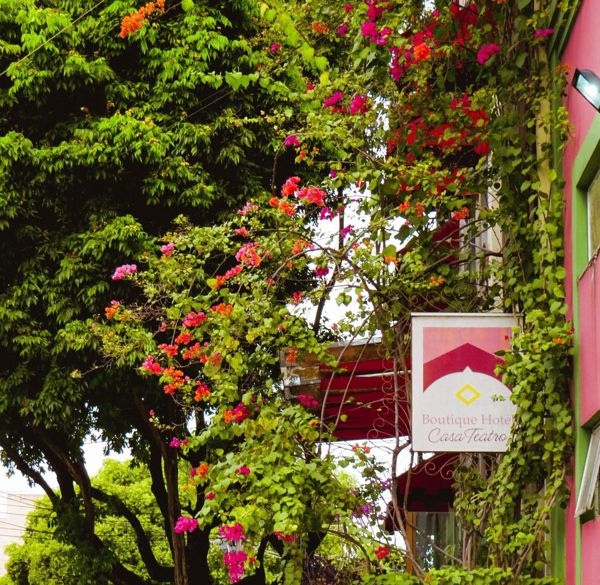 Boutique Hotel Casa Teatro Манаус Екстериор снимка